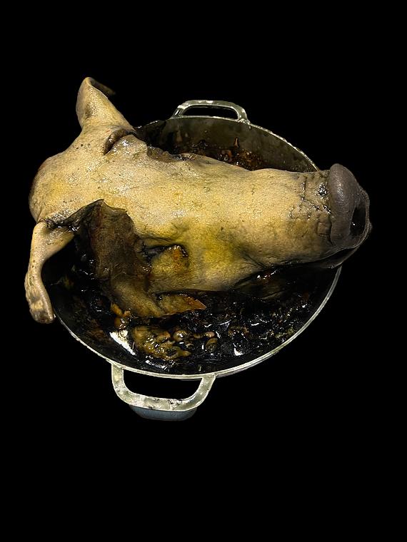 Rotten Pig Head In Pot Halloween Prop
