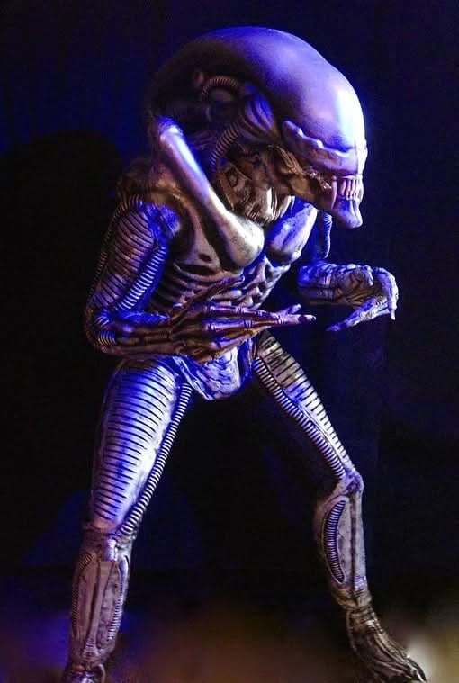 "Zenomorph" Professional Costume