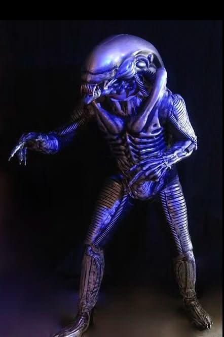 "Zenomorph" Professional Costume
