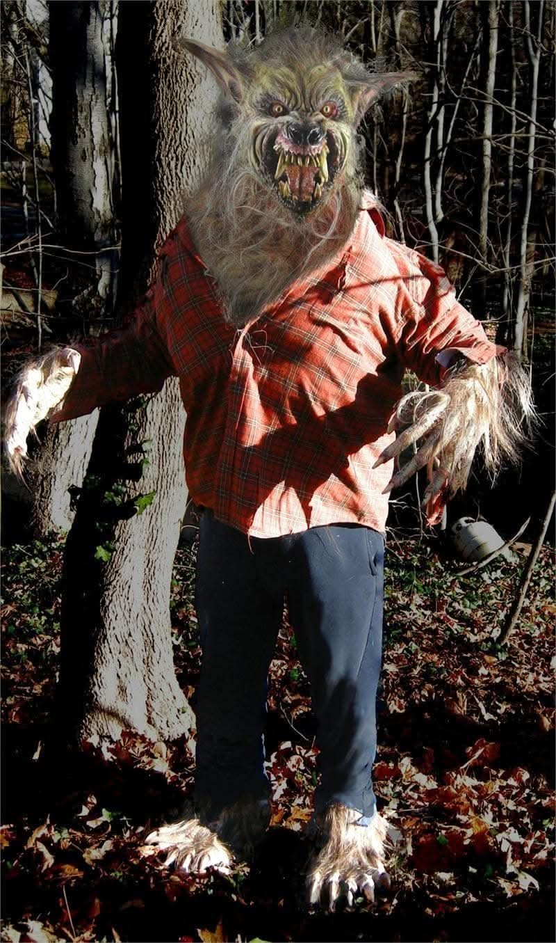 "Big Bad Wolf" HD Studios Pro Halloween Costume