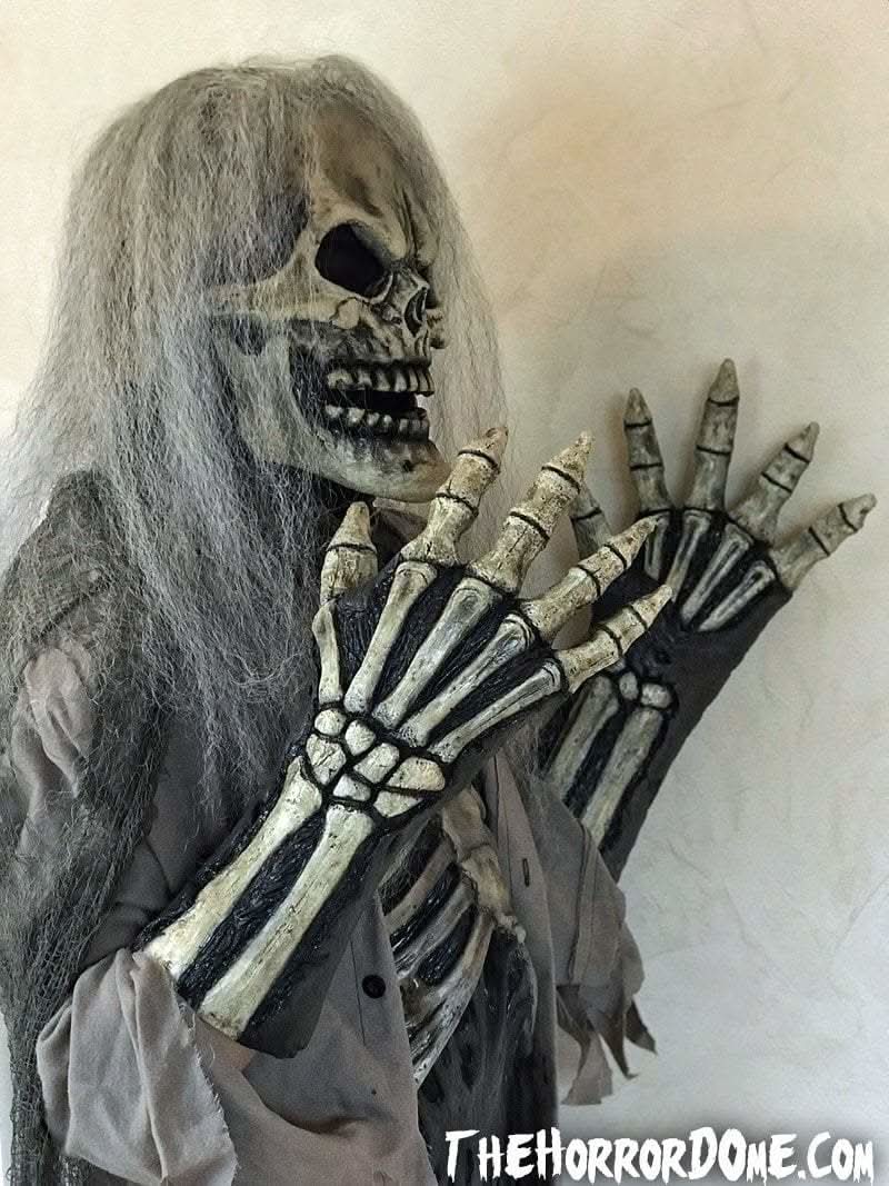 Skeletal Remains HD Studios Pro Costume