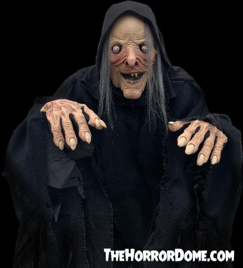 "Wicked Witch" HD Comfort Costume
