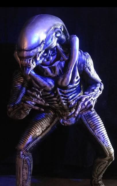  "Zenomorph" Professional Costume