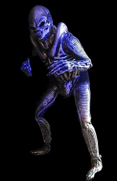  "Alien Reaper" Costume