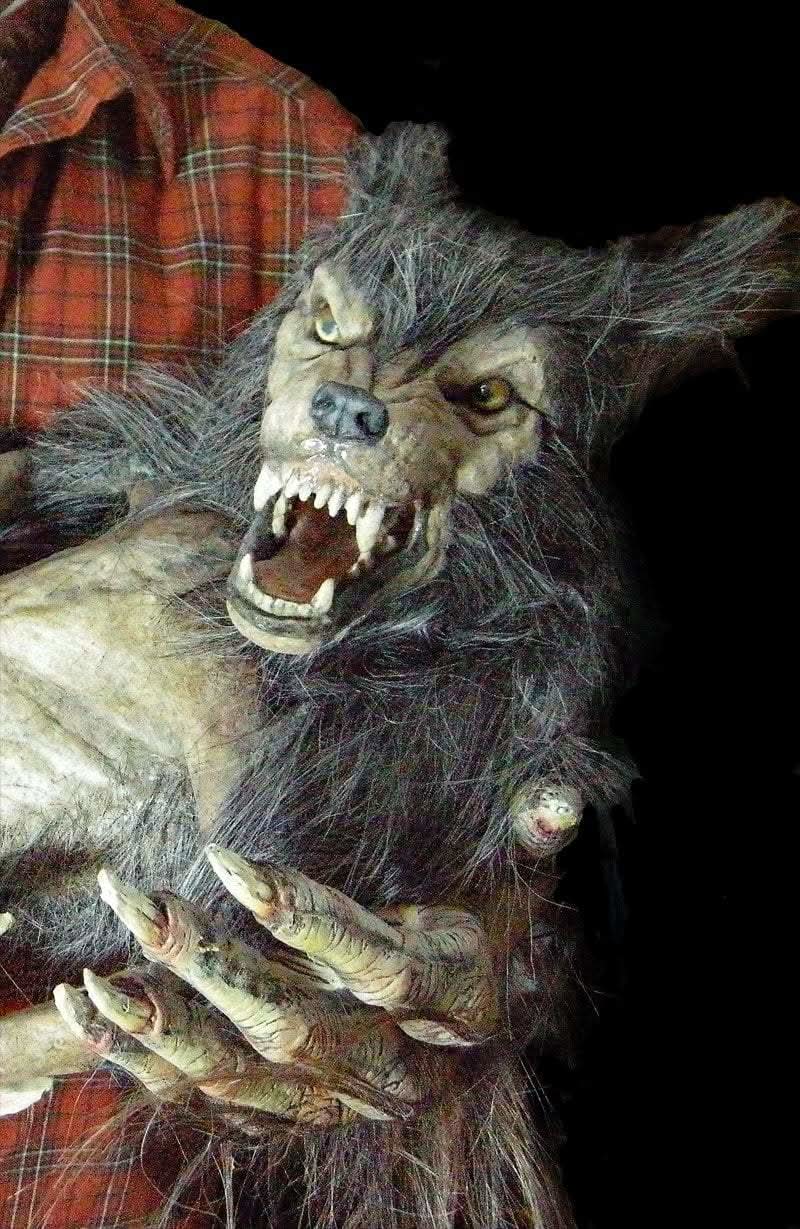  "Baby Werewolf Puppet" HD Studios Halloween Prop