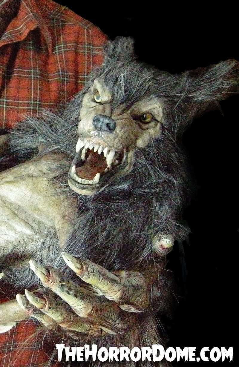  "Baby Werewolf Puppet" HD Studios Halloween Prop