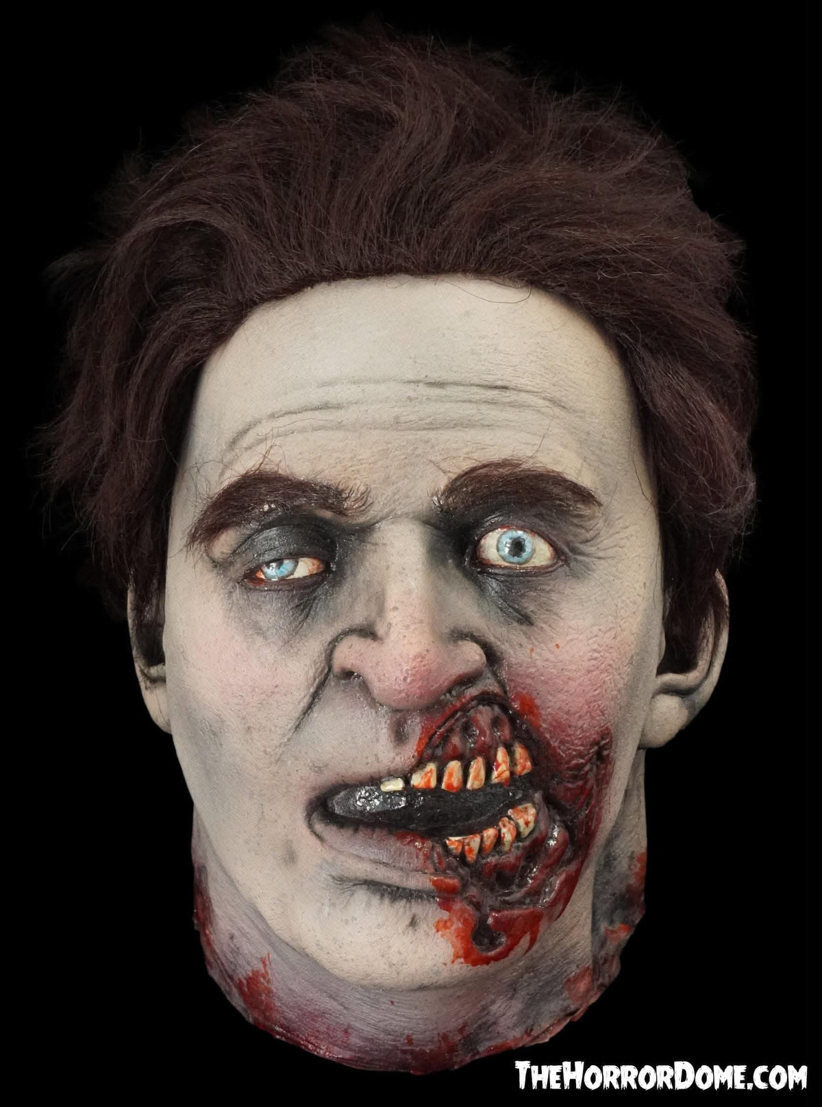 "Beheaded Ben" Severed Head HD Studios Ultra Realistic Halloween Prop