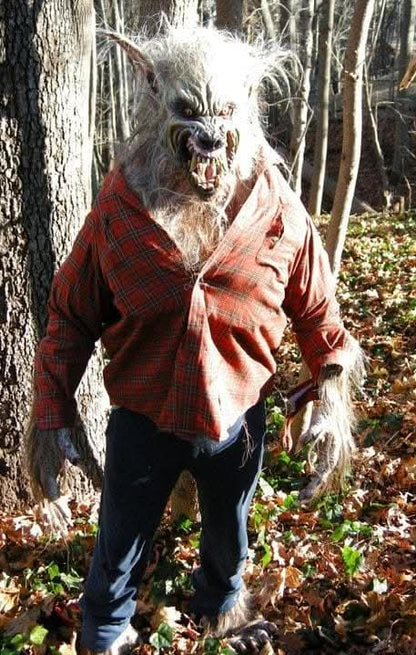  "Big Bad Wolf" HD Studios Pro Halloween Costume