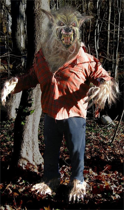  "Big Bad Wolf" HD Studios Pro Halloween Costume