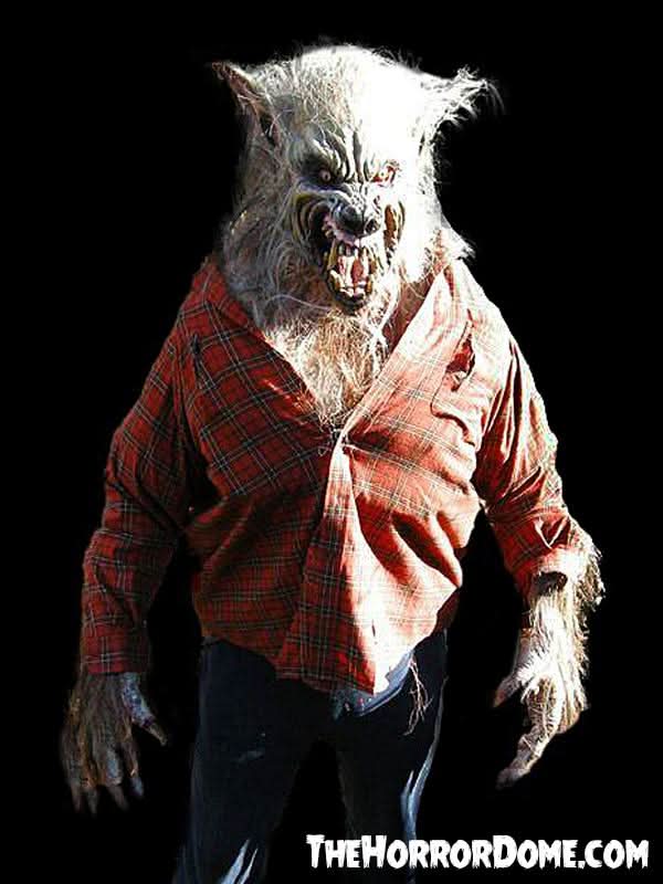  "Big Bad Wolf" HD Studios Pro Halloween Costume
