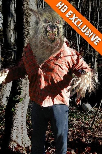  "Big Bad Wolf" HD Studios Pro Halloween Costume