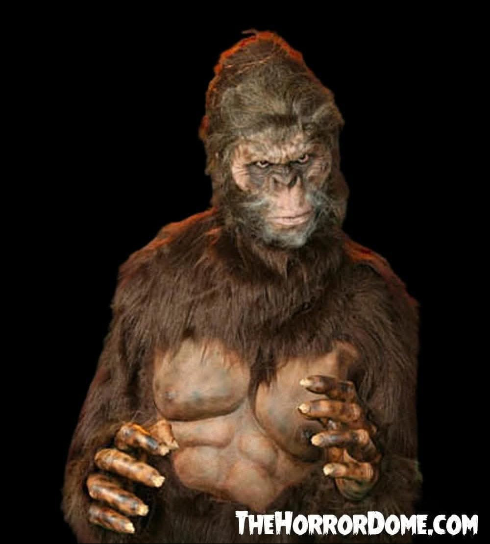  "Bigfoot" HD Studios Pro Costume
