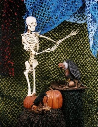  "Camo Crazy Background - 8 X 8 - Black / Orange" Haunted House Decoration