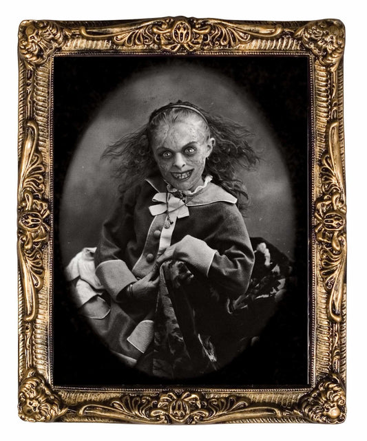  "Changing Portrait - Pretty" Hanging Halloween Decoration