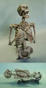  "Corpse Erector" Skeleton Halloween Animatronic