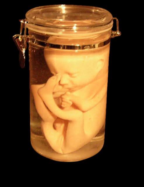  Fetus Replica 7 Month Specimen Jar Halloween Prop