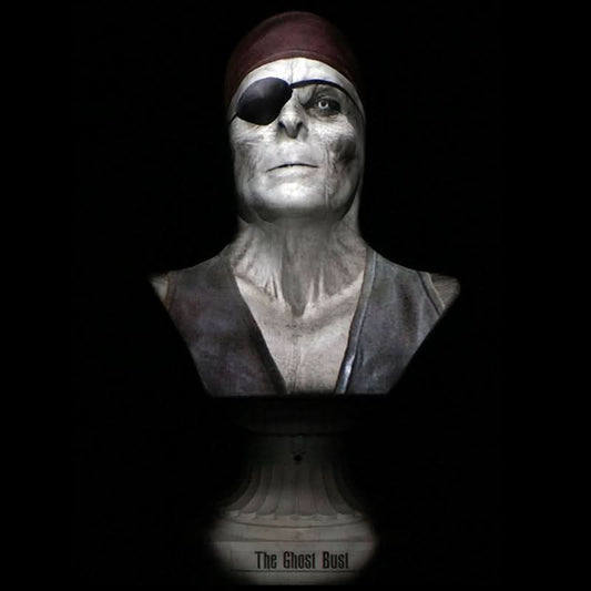  "Ghost Bust Pro - Pirate Captain's Bust" Animated Haunted Projection Prop