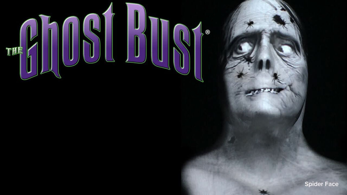  "Ghost Bust Pro - Spider Face" Animated Haunted Projection Prop