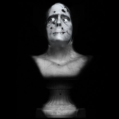  "Ghost Bust Pro - Spider Face" Animated Haunted Projection Prop