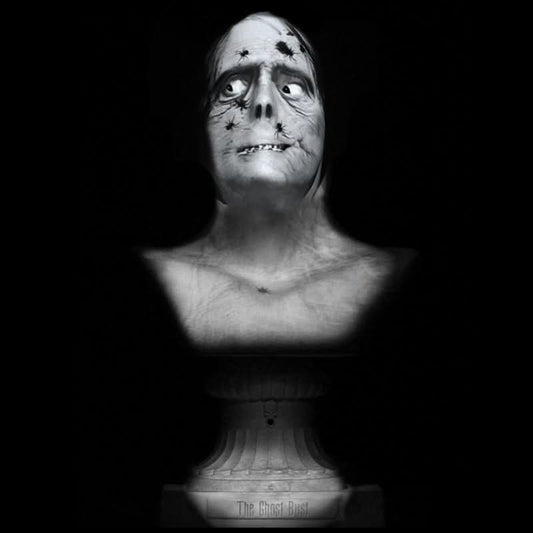  "Ghost Bust Pro - Spider Face" Animated Haunted Projection Prop