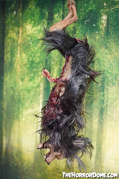  Gutted Baby Werewolf Hanging Prop