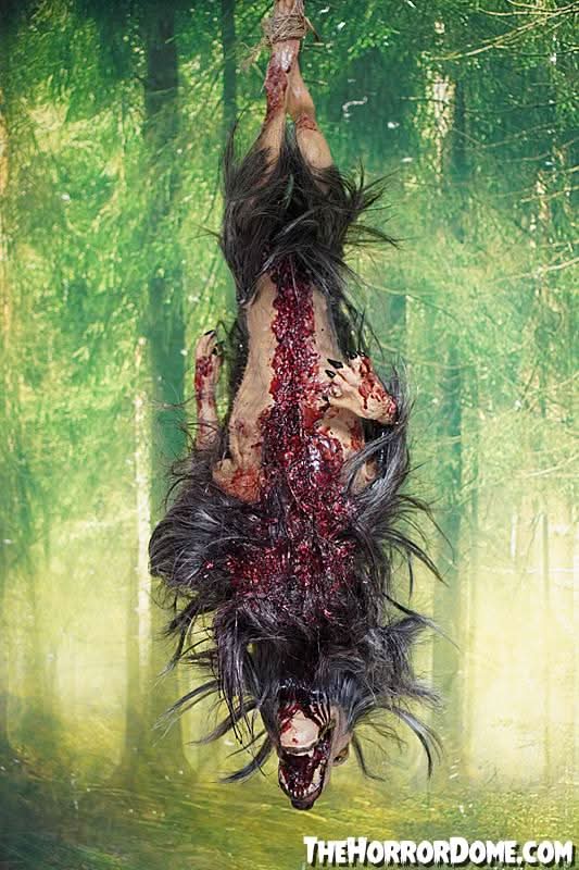  Gutted Baby Werewolf Hanging Prop