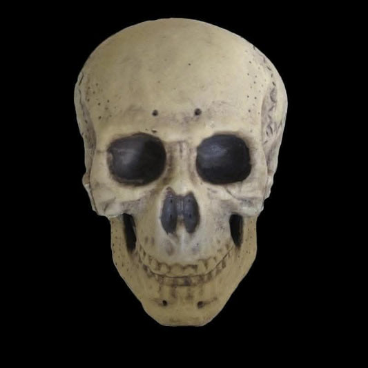  "Human Skull" Life Size Halloween Prop