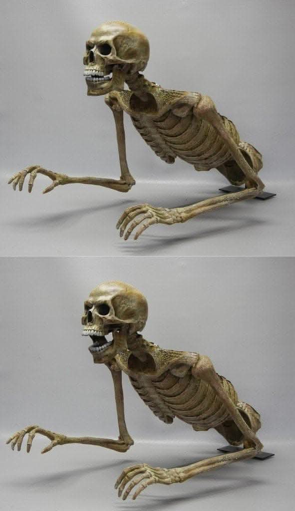  "Jaw Drop Peeper" Skeleton Halloween Animatronic