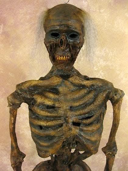  Life- Size Rotted Skeleton