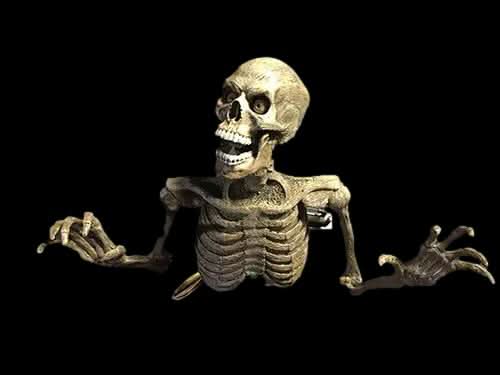  "Lunging Peeper" Skeleton Halloween Animatronic