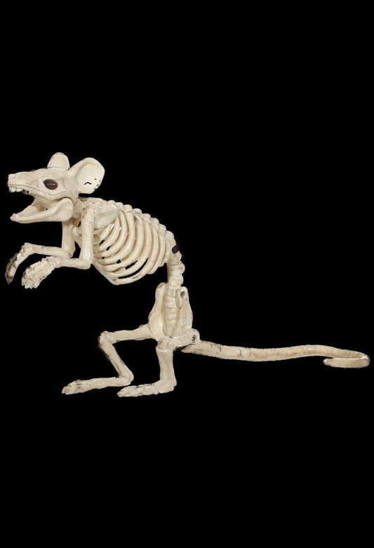  "Mouse Skeleton" Animal Prop