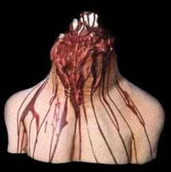  "Neck Stump" Mask