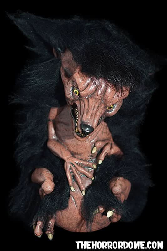  "Newborn Werewolf" Collector Oddity HD Exclusive Halloween Decoration