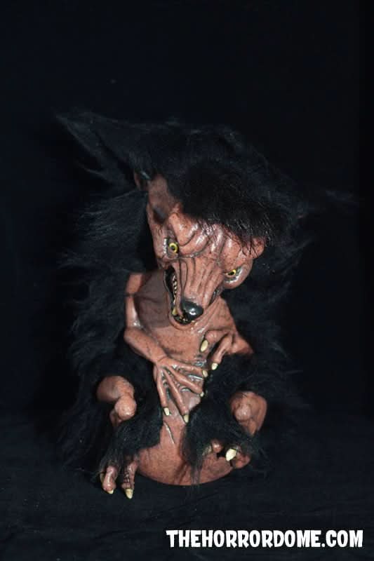  "Newborn Werewolf" Collector Oddity HD Exclusive Halloween Decoration