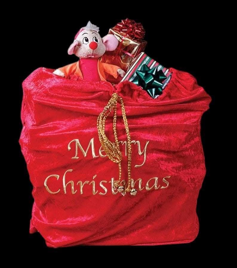  "Santa Sack" Christmas Costume Accessory