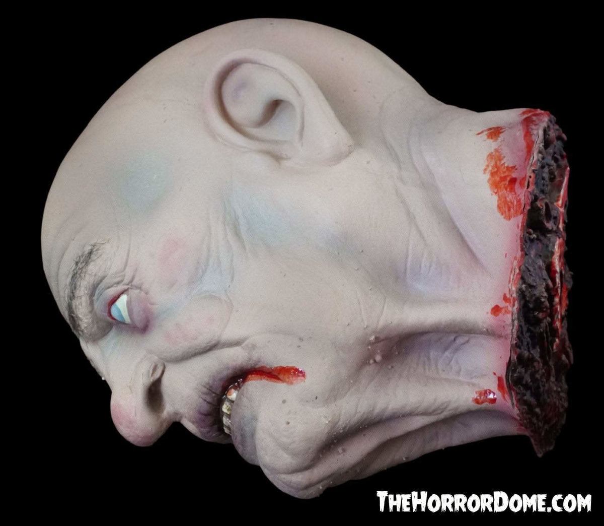  "Severed Sal" Severed Head HD Studios Ultra Realistic Halloween Prop