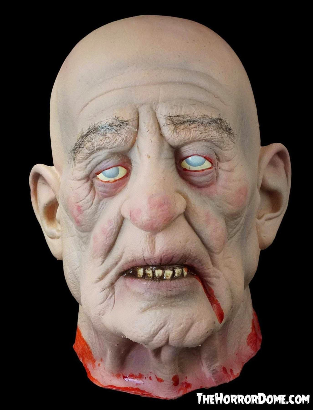  "Severed Sal" Severed Head HD Studios Ultra Realistic Halloween Prop