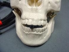  "Spitter Mechanism" Animated Halloween Prop Accessory