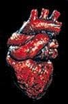  "The Human Heart" Bloody Halloween Prop