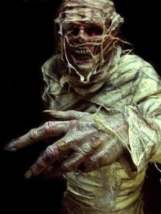  "The Mummy" Professional Costume
