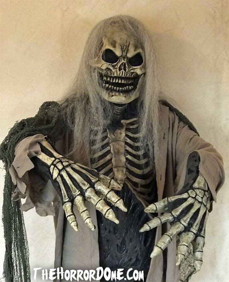  Skeletal Remains HD Studios Pro Costume