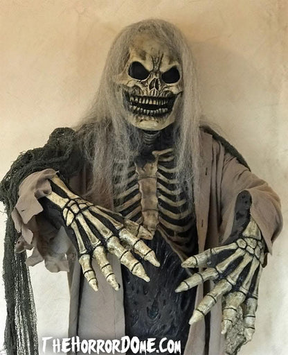  Skeletal Remains HD Studios Pro Costume