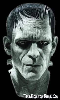  "Universal Studios Frankenstein" Mask