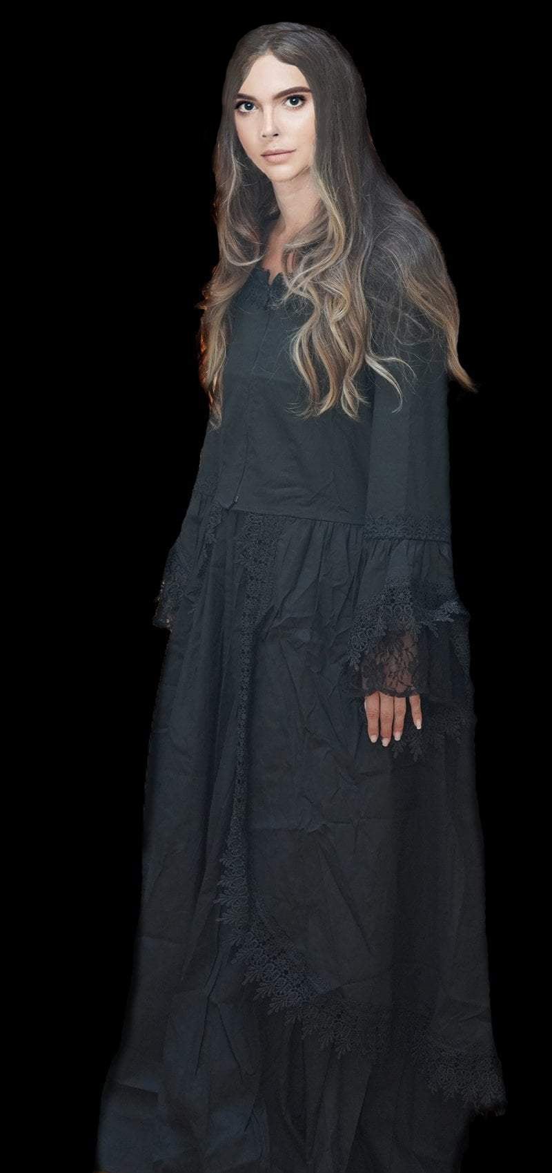  "Victorian Witch Dress" HD Studios Costume