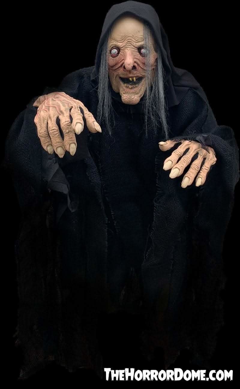  "Wicked Witch" HD Comfort Costume
