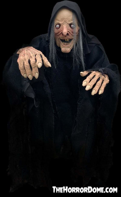  "Wicked Witch" HD Comfort Costume