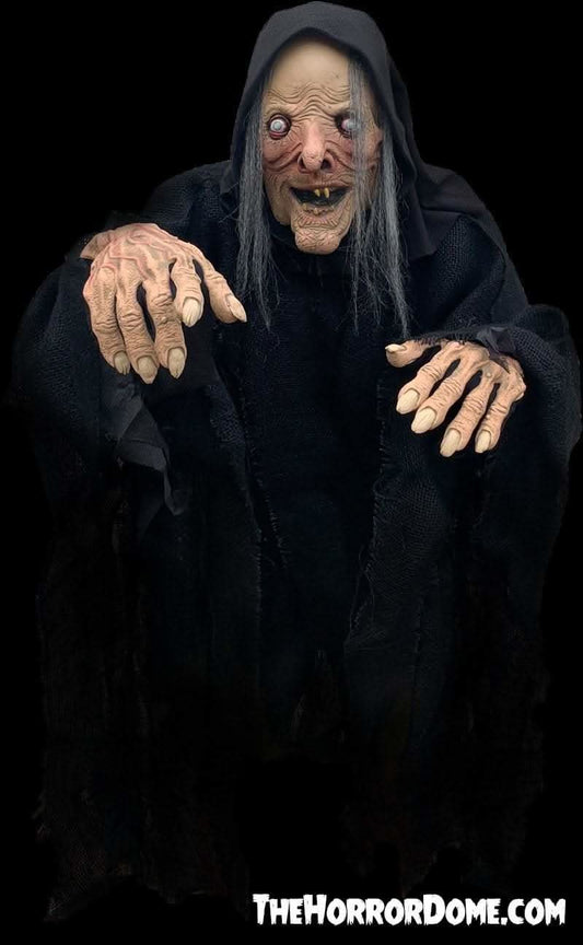  "Wicked Witch" HD Comfort Costume