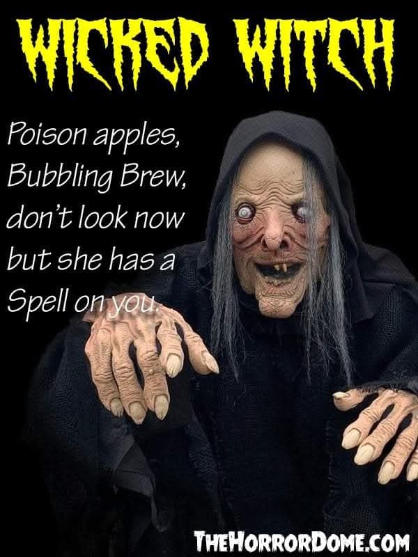  "Wicked Witch" HD Comfort Costume