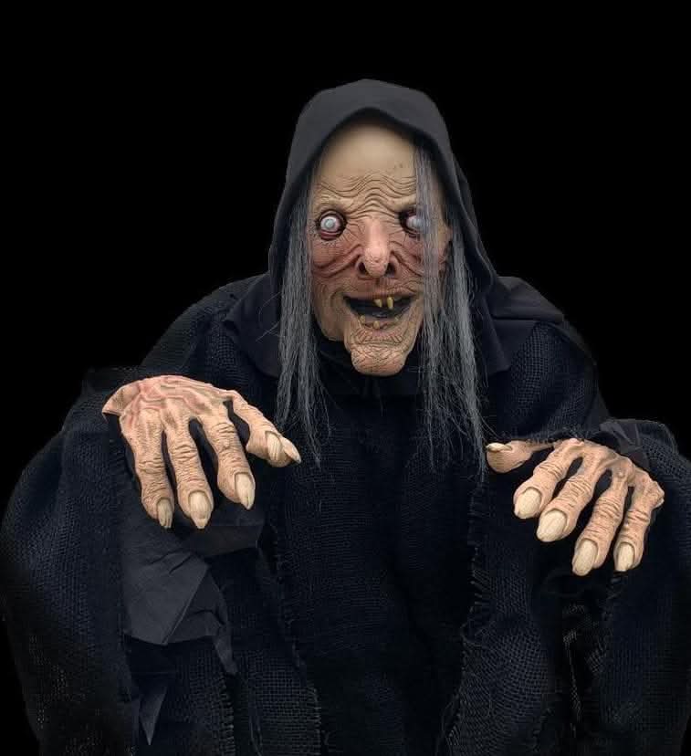  "Wicked Witch" HD Comfort Costume