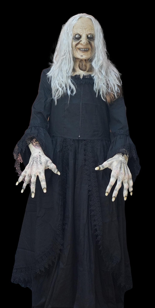  "Witchy Woman" HD Studios Costume